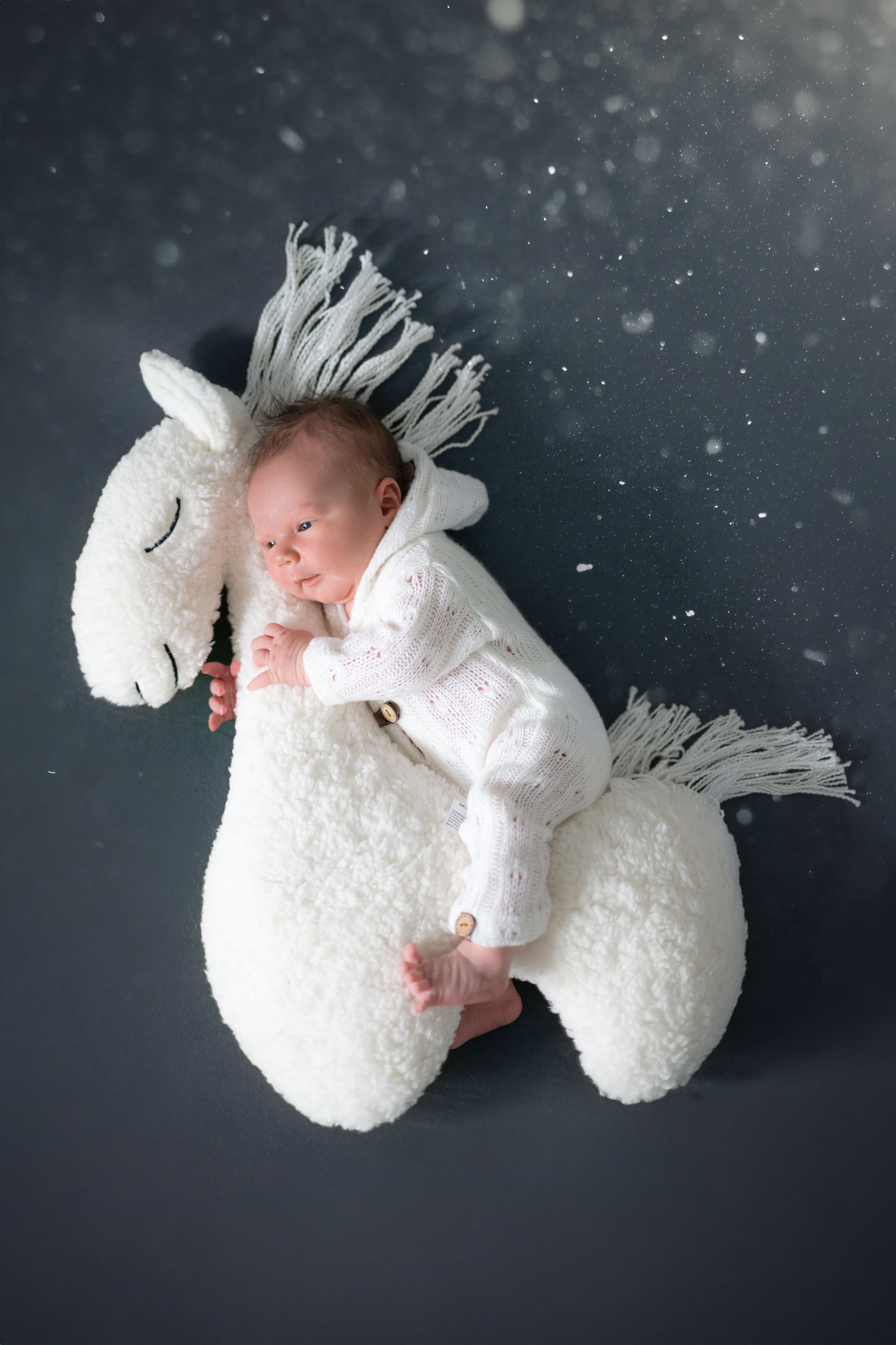 Newborn fotografie 9